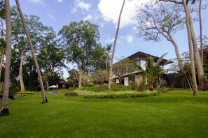 Deluxe Villa | Garden view