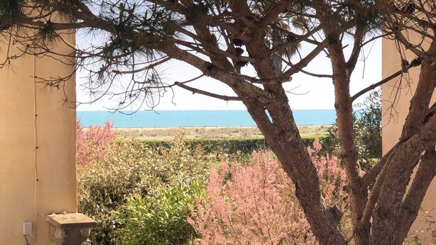 A view from a balcony overlooking a coastal landscape with a tree in the foreground and a clear view of the sea in the background. - Spacious Villa for 10, 100m from Beach, WiFi, Garden, A/C, Near Shops, Parking Available (Le Barcarès)