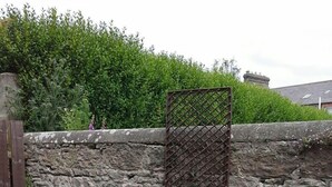 Un mur en pierre agrémenté d’une treille métallique, un jardin avec différentes plantes et fleurs, ainsi qu’une table et une chaise en métal.