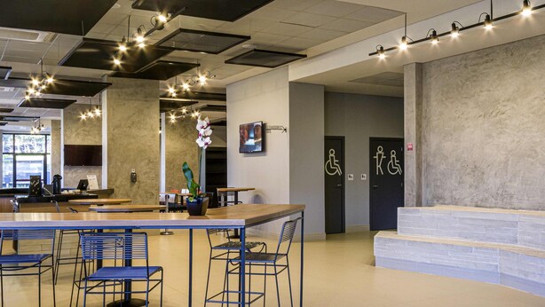 Un espace bar moderne avec un long comptoir, des tabourets de bar et une plante en pot. Il y a deux portes signalées comme étant accessibles aux personnes en fauteuil roulant.