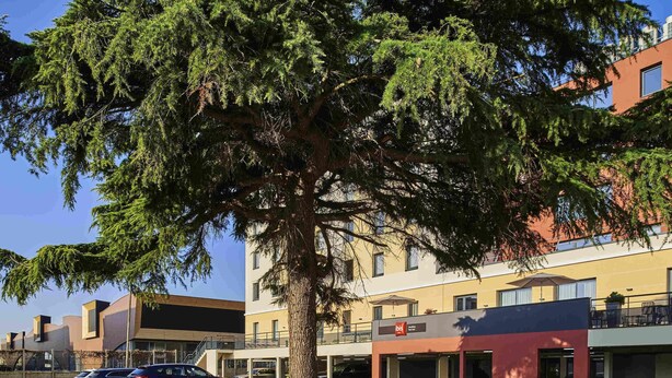 Un espace de stationnement avec des voitures, un arbre et un bâtiment à la façade rouge et beige.