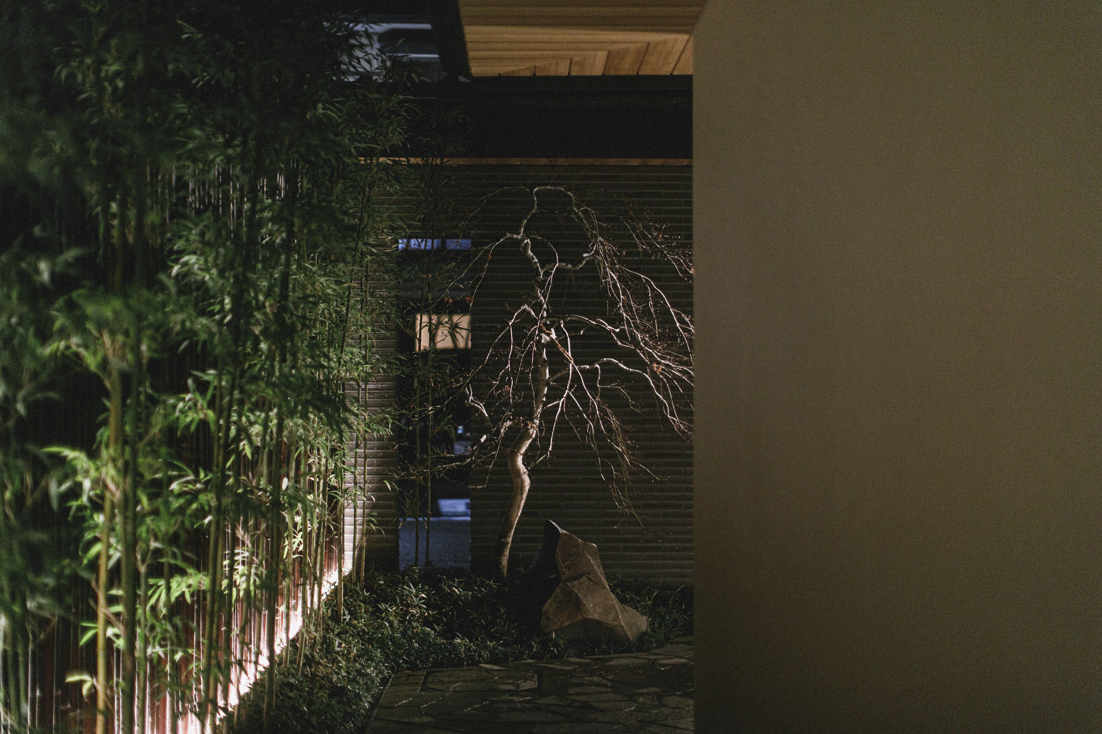 A bamboo garden with a stone pathway leading to a building with a dark facade and a visible sign.