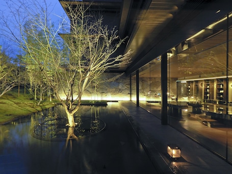 Garden. Garrya Nijo Castle Kyoto