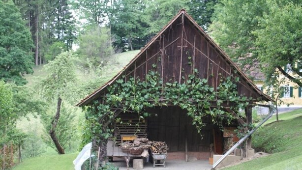 Unclassified image, 1 of 22, button - Ferienhaus Maier (Schwarzautal)