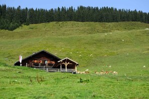 Fassade der Unterkunft