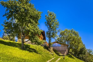 View from property - Hinterbichl (Uttendorf)