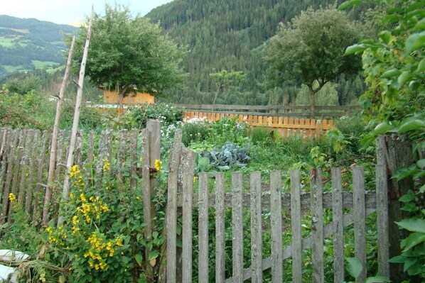 Jardin