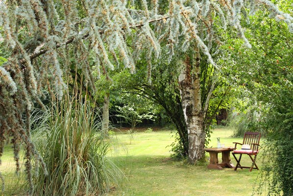 Un jardín con una mesa y una silla de madera, rodeado de árboles y follaje.