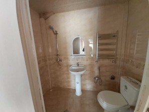 Shower, free toiletries, hair dryer, towels - Baijan Hotel Baku (Baku)