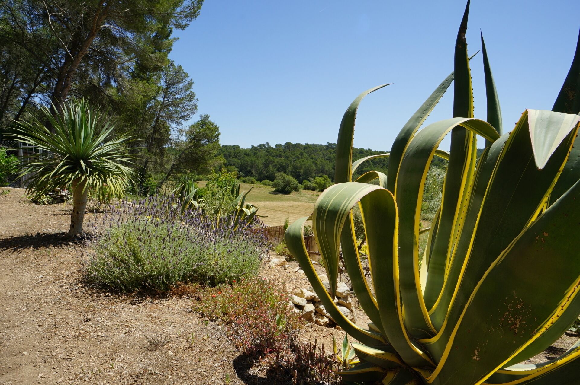 Enceinte de l’hébergement