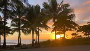 A sunset view with palm trees and a road leading to the beach.