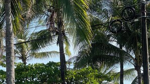 A statue of a lion in a grassy area with palm trees and a view of the ocean.