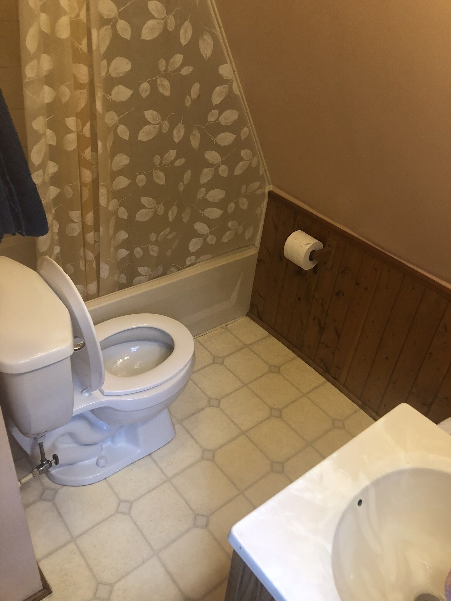 Towels, soap, shampoo, toilet paper