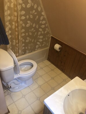 Towels, soap, shampoo, toilet paper