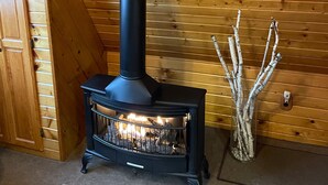 A wood-burning stove with a chimney, a glass vase with branches, and a wooden door.