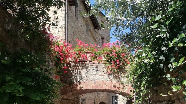 Ein schmaler Steinweg, der von Mauern mit Kletterpflanzen und Blumen gesäumt wird. Eine geböschte Steinbrücke überspannt den Weg.