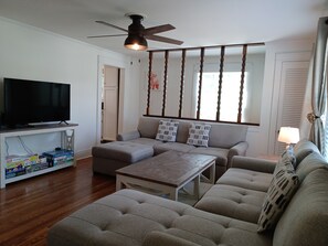 Smart TV, DVD player, books, video library