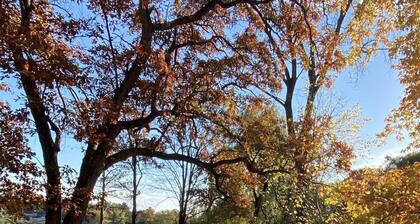 Calm Waters Chain O' Lakes Vacation Home
