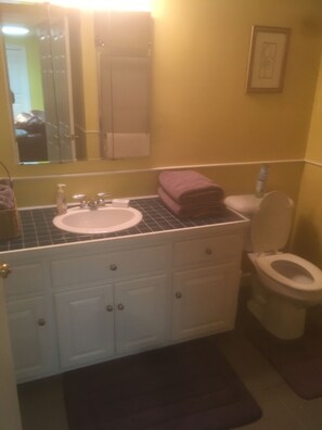 Shower, towels, shampoo - Brick Ground Floor Suite, 12 min to Liberty Univ. (Lynchburg)