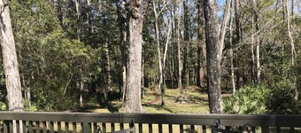 Wakulla River Waterfront Retreat