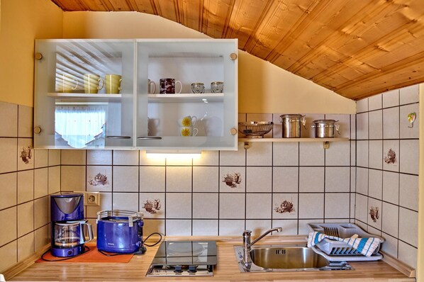 Apartment, 1 Bedroom (Silberblick) | Private kitchen | Fridge, stovetop, coffee/tea maker, toaster