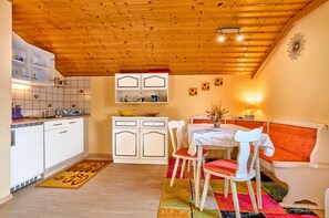 Apartment, 1 Bedroom (Silberblick) | Private kitchen | Fridge, stovetop, coffee/tea maker, toaster