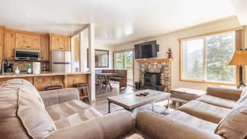 TV, fireplace, books