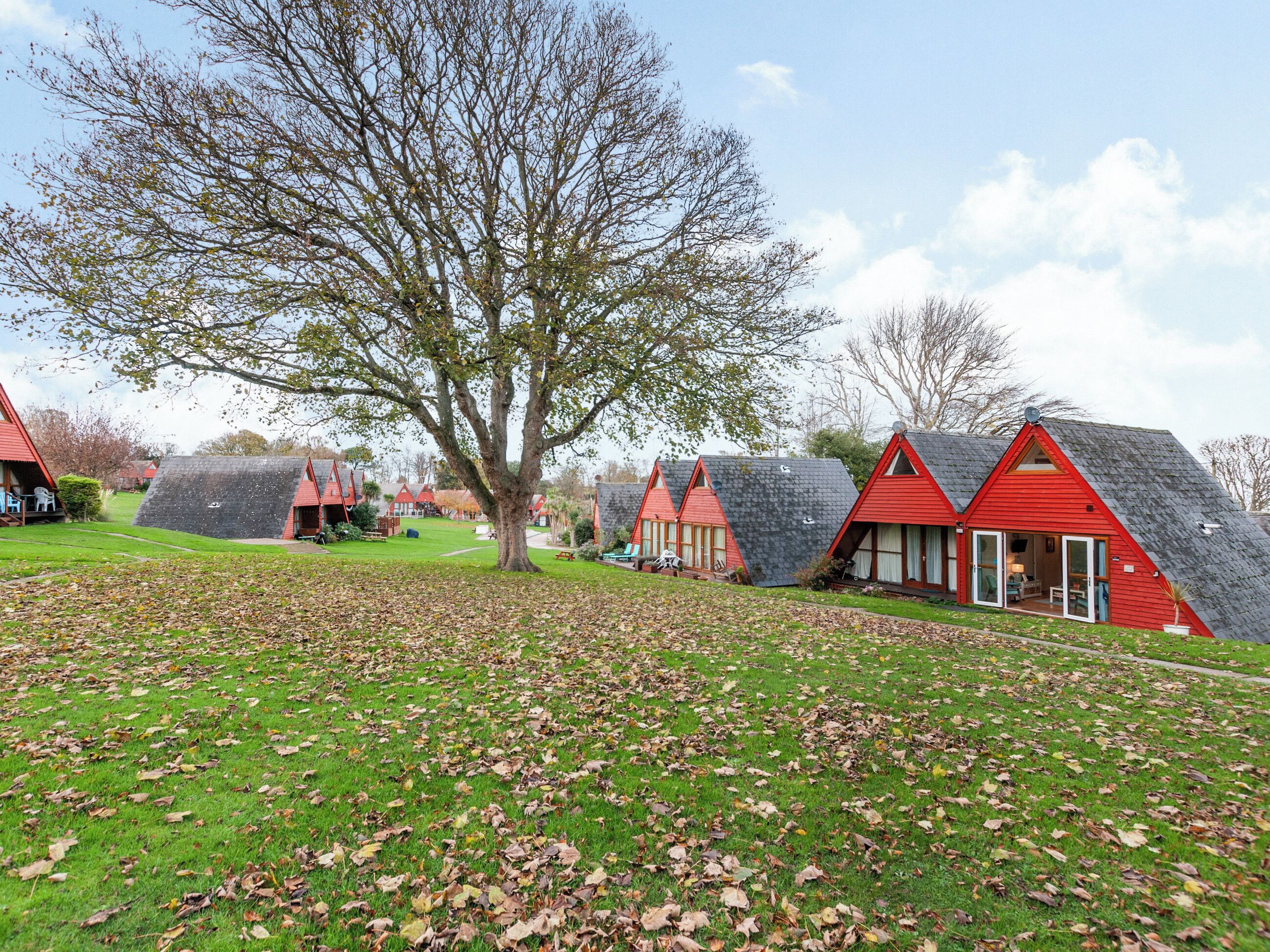 Une rangée de maisons aux toits rouges, avec un grand arbre au premier plan.