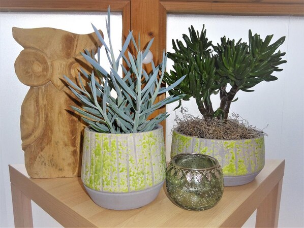 Two potted plants with decorative pots on a wooden shelf.