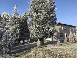 Exterior - Stan's Bed & Breakfast (Untergriesbach)