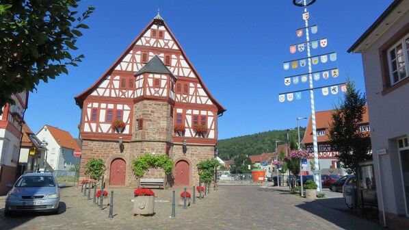 Bicycling - Ferienwohnungen Haus Albert (Grossheubach)
