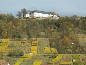 Hiking - Ferienwohnungen Haus Albert (Grossheubach)