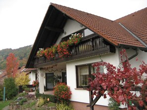 Exterior - Ferienwohnungen Haus Albert (Grossheubach)