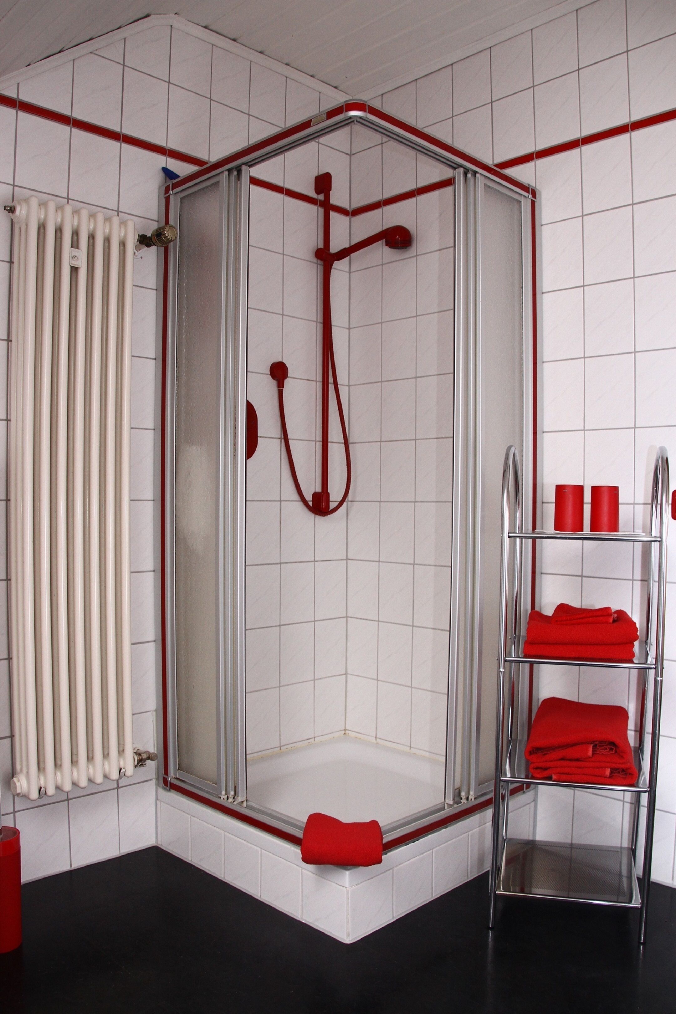 Ein Duschbereich mit Glasabtrennung, einem roten Handtuchhalter und einem Heizkörper.