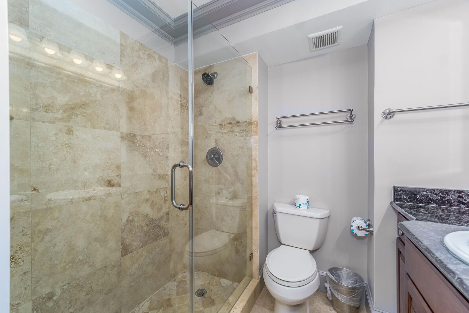 A modern bathroom with a glass-enclosed shower, a toilet, and a marble countertop.