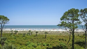 Una playa con una vista despejada del océano, rodeada de abundante vegetación y árboles.