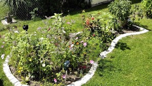 A garden with a variety of flowering plants and a small tree, enclosed by a white brick border. - Ferienwohnung Stoiber (Frauenau)