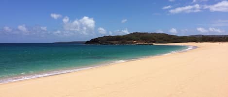 On the beach, sun loungers, beach towels