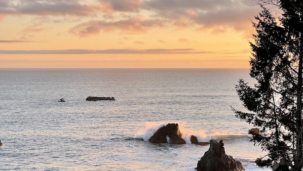 Una playa con olas, rocas y un árbol.