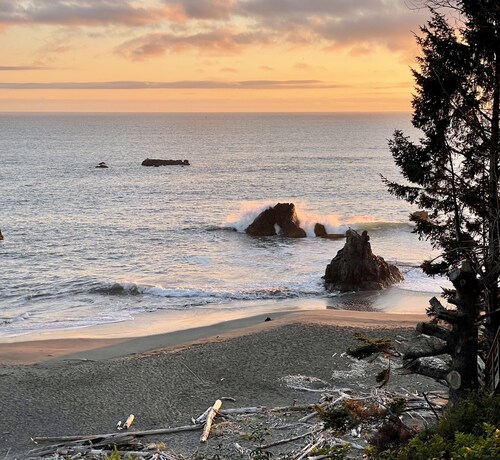 Pets welcome. Great Ocean View .  Remodeled Kitchen. Fire Pit. BBQ<br>Free WiFi. 