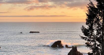 Pets welcome. Great Ocean View . Remodeled Kitchen. Fire Pit. BBQ<br>Free WiFi.