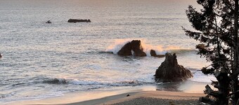 Pets welcome. Great Ocean View . Remodeled Kitchen. Fire Pit. BBQ<br>Free WiFi.