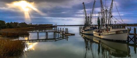 Marina