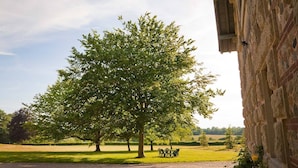 A large tree in a grassy area with a stone building in the background. - Château de Joyeux - Chambres D'hôtes (Joyeux)