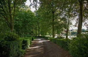 Garden - Château de Joyeux - Chambres D'hôtes (Joyeux)