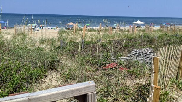 A beach with wooden fences, beach umbrellas, and people relaxing. - Beautiful Ocean Front Studio with direct beach and access to a deck.  (Kill Devil Hills)