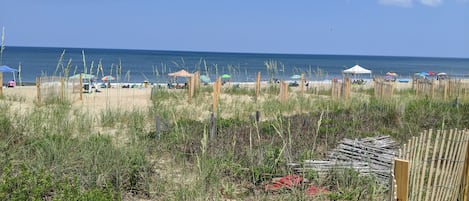 Utsikt mot havet/stranden