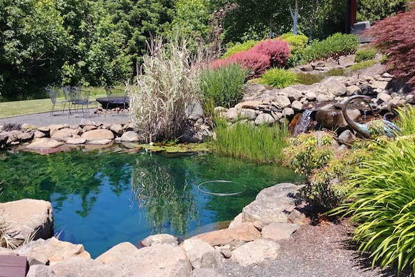 Àrea exterior de l'allotjament