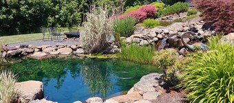 Views and Wineries Surround You On 15 Acres In This Wine Country Get Away