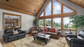 Smart TV, fireplace, books, stereo